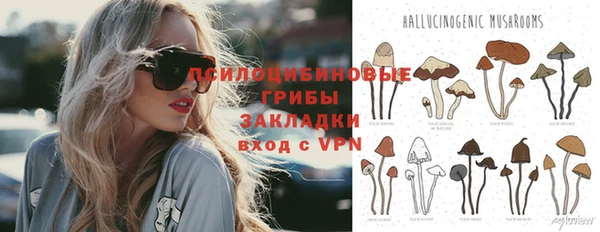 СК Арсеньев